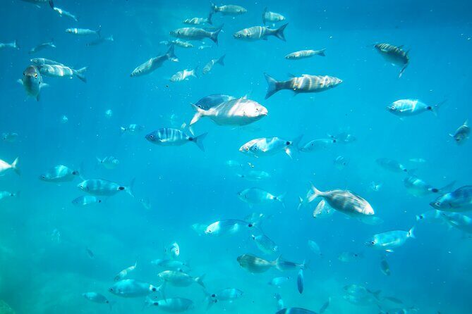 1-Hour Guided Semi-Submarine Tour to Isola Bella - Isola Bella stop: glass-window seabed views and the Blue Grotto