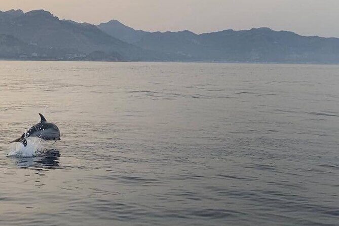 2.5 Hours Sunset Boat Tour in Search of Dolphins - Price and value for a 2.5-hour Sicily sail