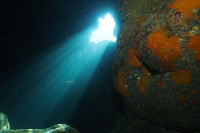 2 Dives from Diving Center (with full equipment) - Campeggio Jonio: a natural bay shaped by lava