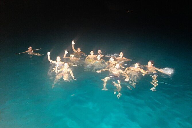 3-Hour Dolphin watching at sunset with aperitif - Dolphin watching near the boat: how to maximize your chances