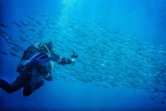 3-Hour Try Scuba Private Guided Sea Baptism from Palermo - Gear Basics and the Fast Confidence Builder