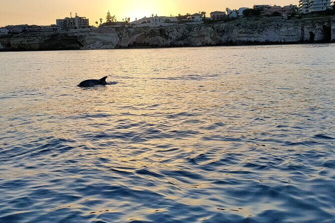 3 Hours Private Boat Tour of the Island of Ortigia with Aperitif - Ortigia by Boat: The Shortcut to Best Views