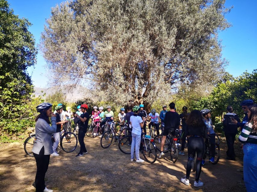 a PRIVATE ride of Favorita Park and Mondello - Palermo on two wheels: why this beats the usual day plan