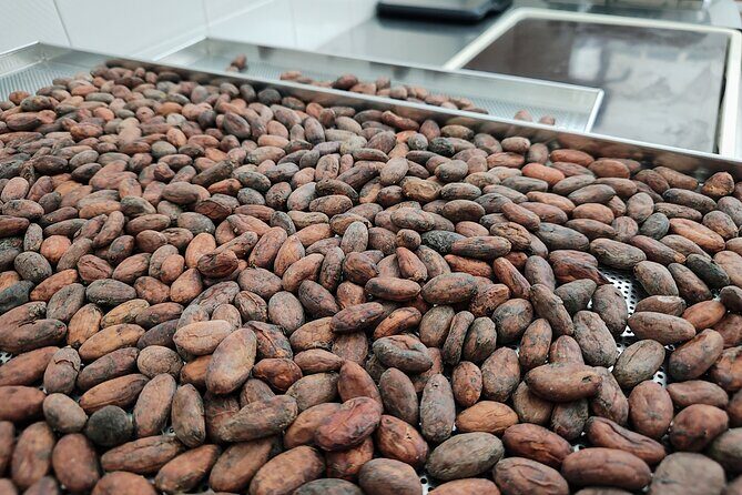 Become a chocolatier for a day, in Modica raw chocolate - Modica Raw Chocolate Lab: i Sapori degli Iblei in Modica Alta