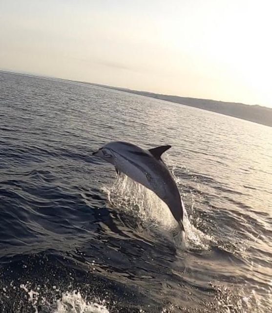 boat tour exploring and searching for dolphins in Acitrezza - Getting on board at Bazar del Mare (and what to bring)