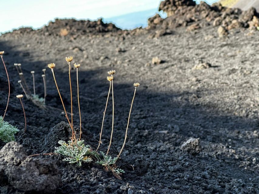 Catania: Etna Morning or Sunset Trek with Lava Tunnel & Gear - Getting to Etna from Catania: a van ride that buys you time