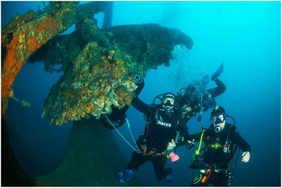 Catania: Gulf Scuba Diving Tour with Marine Biologist - Key Highlights You’ll Notice Right Away