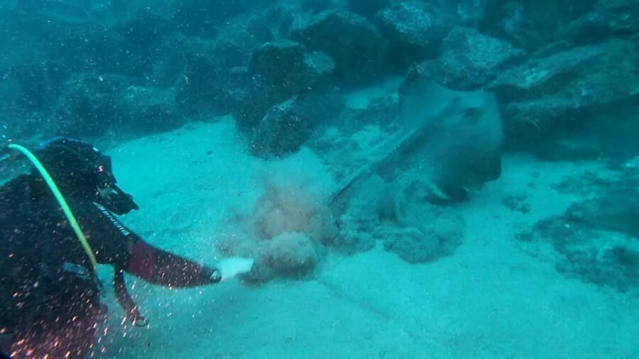 Catania: Gulf Scuba Diving Tour with Marine Biologist - Where You Go Under: Gulf of Catania Meets the Cyclopean Isles