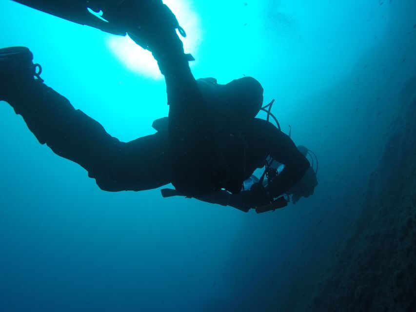 Catania: Gulf Scuba Diving Tour with Marine Biologist - What You’ll See: Octopus, Sponges, and Those Little Surprises