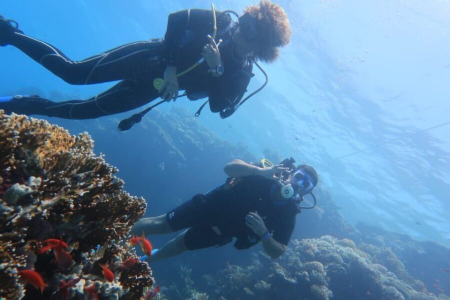Catania: Gulf Scuba Diving Tour with Marine Biologist - Communication and Languages: How Easy It Is to Follow Along