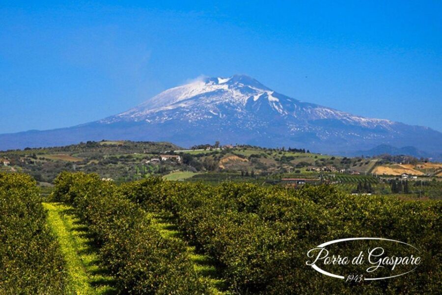 Catania: Pozzo di Gaspare Farm Guided Tour with Tastings - Key Highlights You’ll Actually Notice
