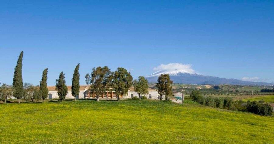 Catania: Pozzo di Gaspare Farm Guided Tour with Tastings - Blossoms and Farming Seasons: When March–May Changes the Whole Experience