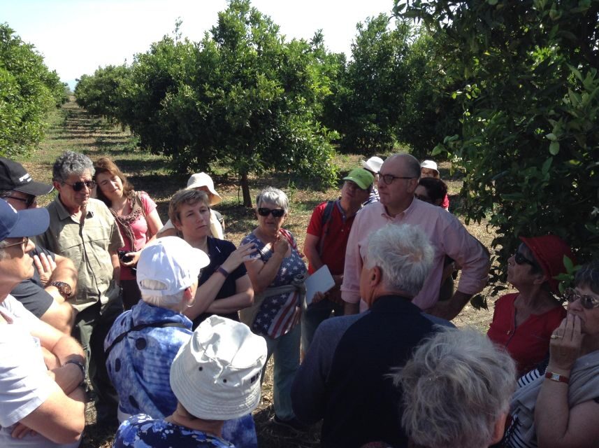 Catania: Pozzo di Gaspare Farm Guided Tour with Tastings - Should You Book Pozzo di Gaspare? My Straight Answer