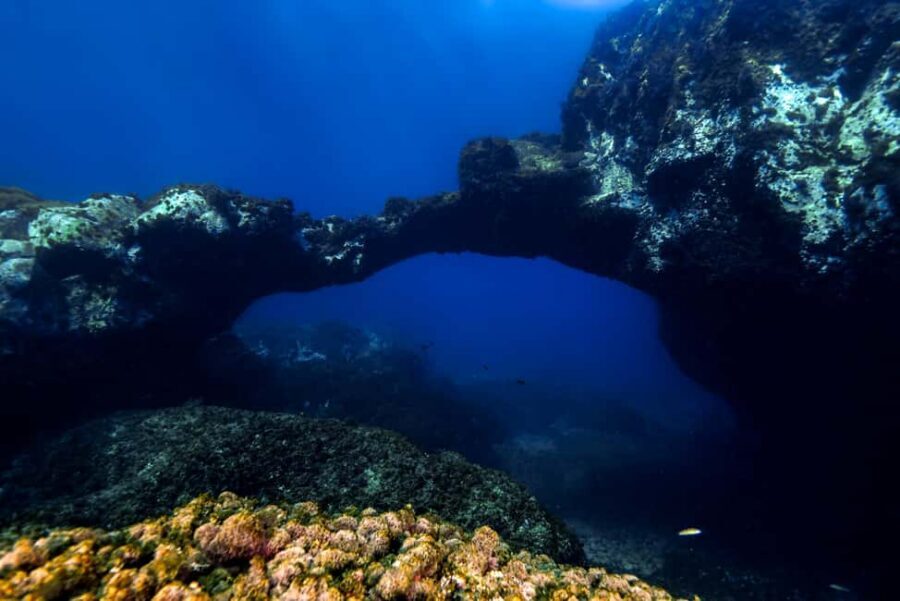 Catania: Scuba Diving Experience - Max 5 Meters: Safety Rules and Why Shallow Water Helps You Learn