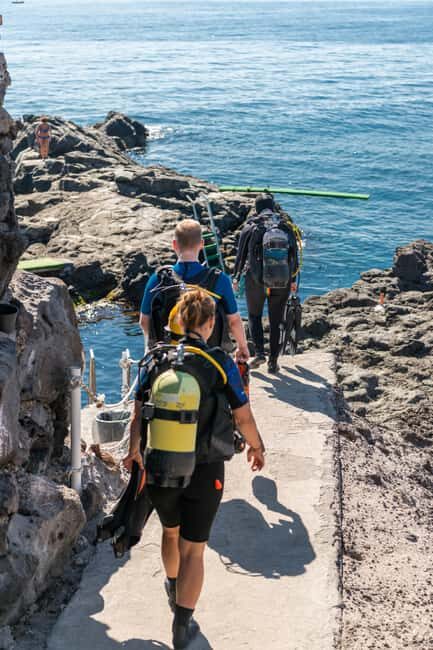 Catania: Scuba Diving Experience - What You’ll See: Lava Flows, Caves, Fish, and Sometimes Octopus