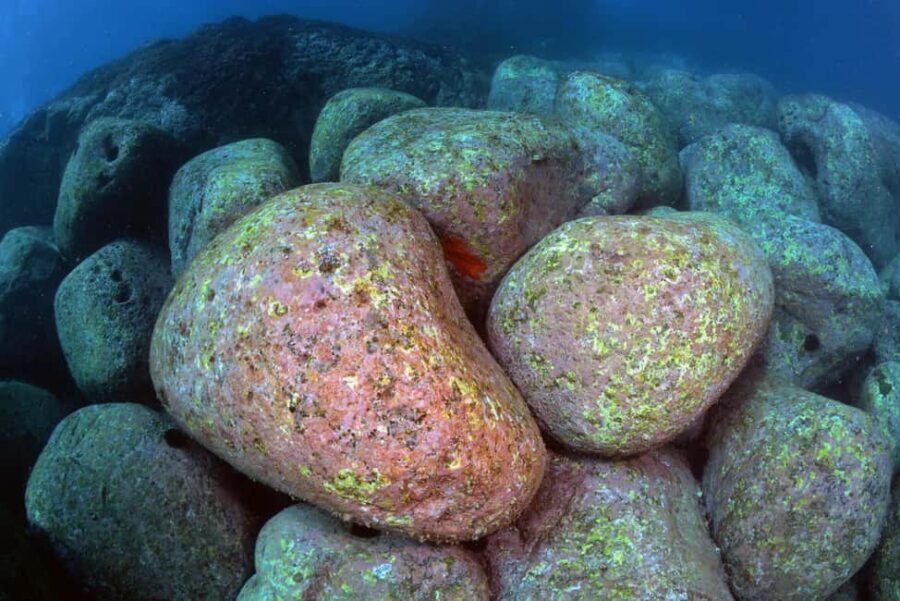 Catania: Scuba Diving Experience - Who Should Book This Catania Underwater Try-Out—and Who Should Skip