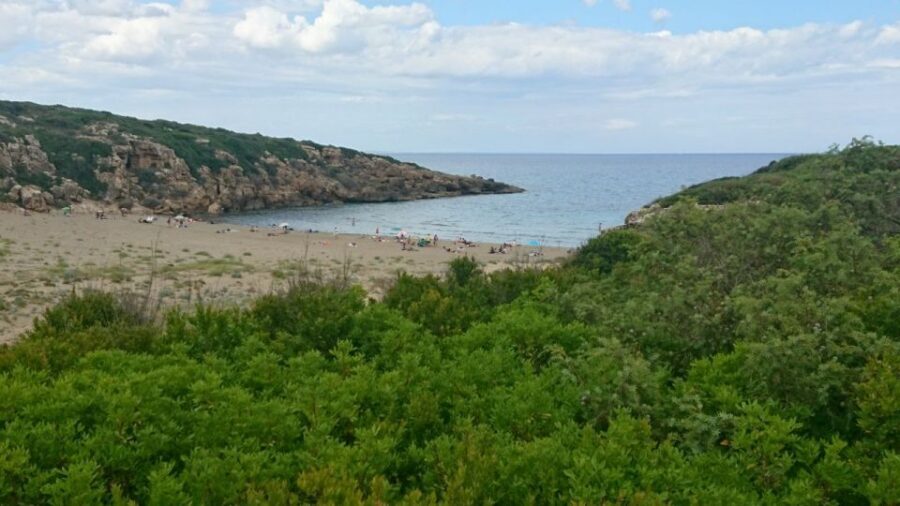 Catania: Vendicari, Marzamemi and Noto Day Trip - How the pacing and transport shape your day