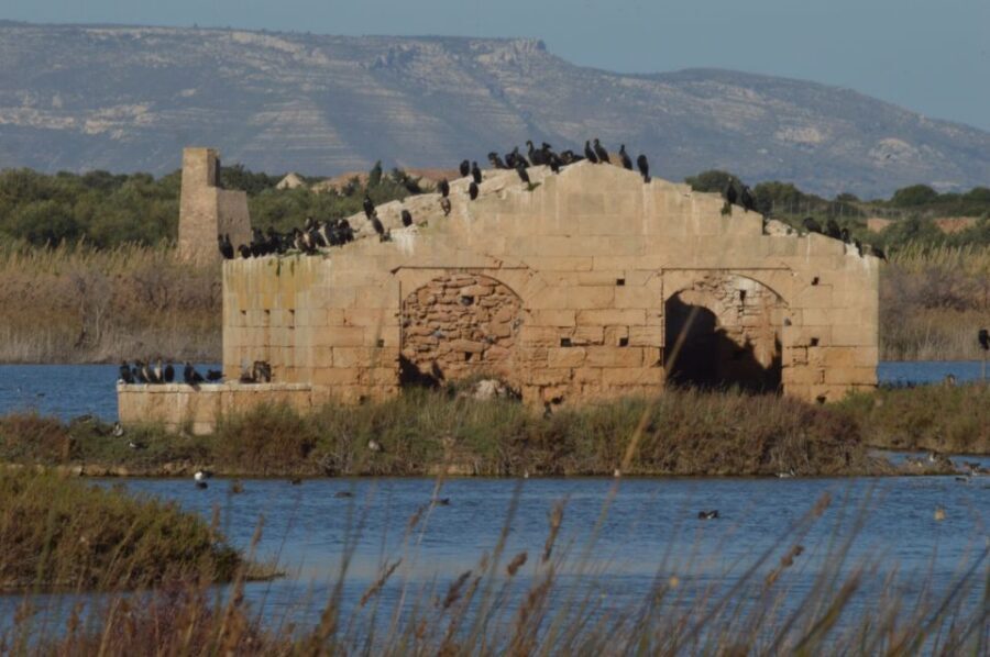 Catania: Vendicari, Marzamemi and Noto Day Trip - Who should book this day trip (and who might not love it)