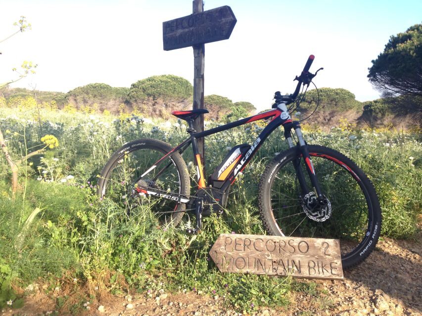 Discover MtPellegrino with a PRIVATE Guided Bike Tour - WWII anti-aircraft batteries: Palermo’s Gulf from above