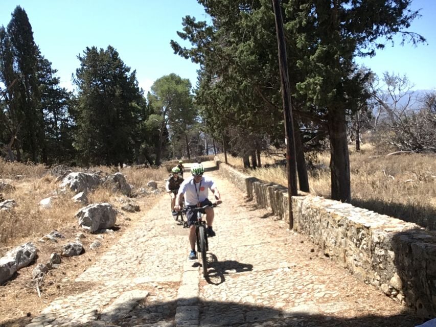 Discover MtPellegrino with a PRIVATE Guided Bike Tour - Food tasting near the top: local street flavors with a break built in