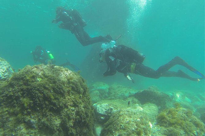 Discover scuba diving - Gear Up and Boat Transfer: Getting Ready Without the Guesswork