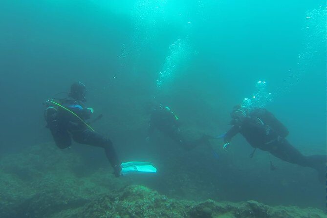 Diving for patented divers - Should you book Blue Sea for a patented-participant scuba day?