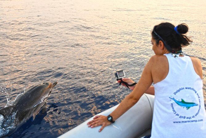Dolphin Watching & Conservation - Dolphins in the Gulf of Catania - Key Things That Make This Tour Worth Your Time