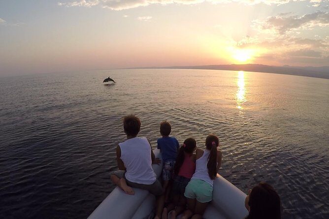 Dolphin Watching & Conservation - Dolphins in the Gulf of Catania - Eco-Friendly Dolphin Watching That Feels Like Fieldwork