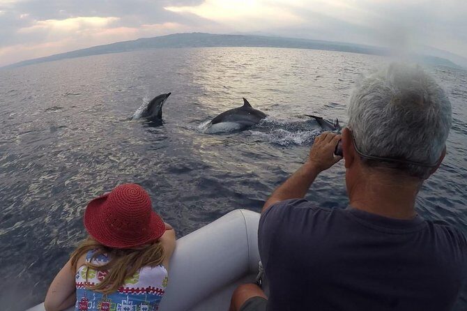 Dolphin Watching & Conservation - Dolphins in the Gulf of Catania - Getting Ready at the Catania Marina (and Why Timing Matters)
