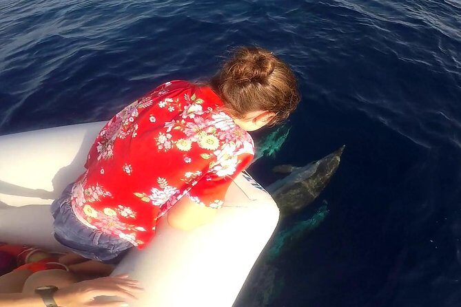 Dolphin Watching & Conservation - Dolphins in the Gulf of Catania - Small-Boat Sailing: Comfortable, But Bring Sun