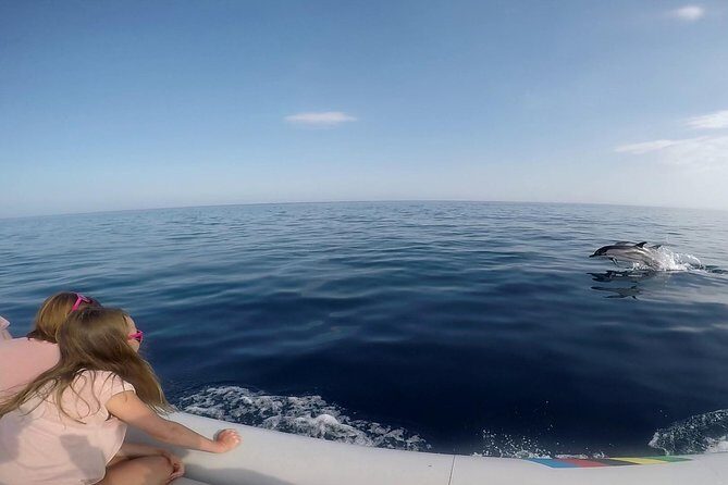 Dolphin Watching & Conservation - Dolphins in the Gulf of Catania - The Gulf of Catania Search: Slow Speed, High Focus