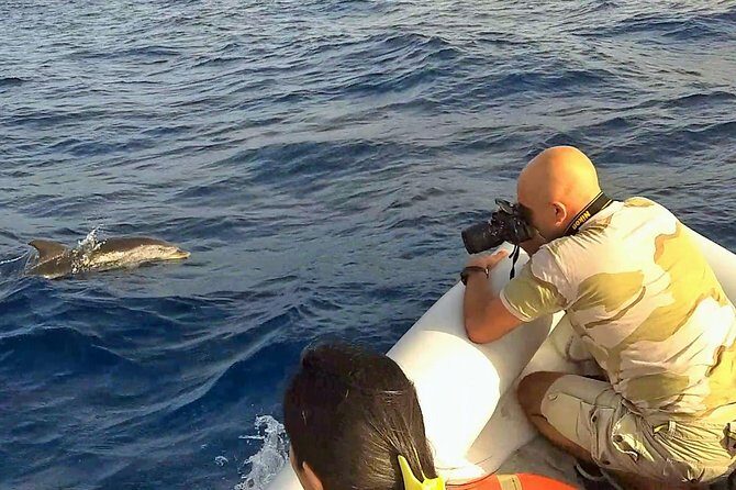 Dolphin Watching & Conservation - Dolphins in the Gulf of Catania - Stop by Stop: Aci Trezza, Aci Castello, and the Etna View Thread