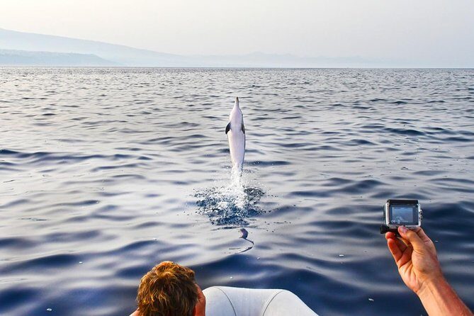 Dolphin Watching & Conservation - Dolphins in the Gulf of Catania - Price and Value: What You’re Paying For