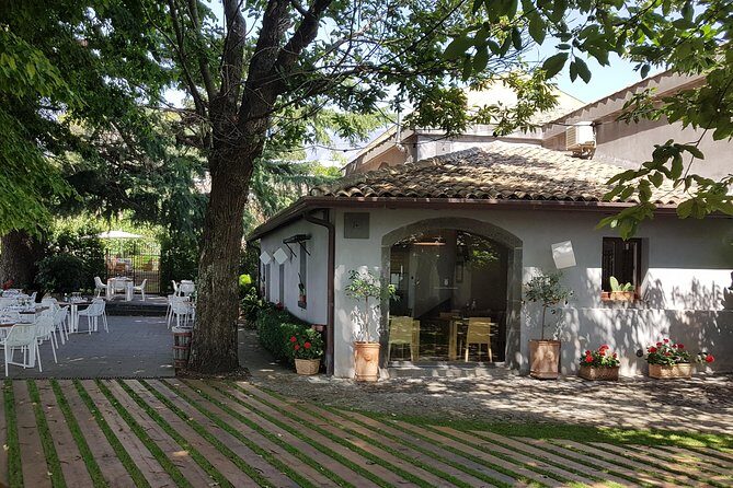 Etna Easy & Winery from Messina, Catania or Taormina/G. Naxos - Who should book this Etna Easy & Winery tour