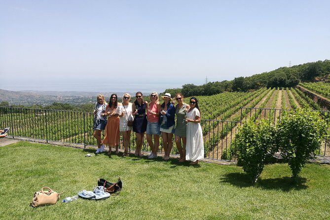 Etna Excursion and Lunch - Wine Tasting in Etna DOC Vinery - Mount Etna in one full day: what this tour really delivers