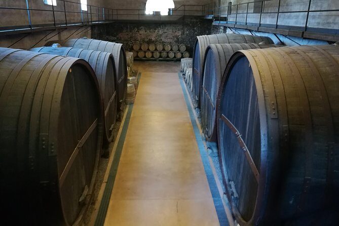 Etna Excursion and Lunch - Wine Tasting in Etna DOC Vinery - Optional cableway add-on: when it’s worth choosing the easier route