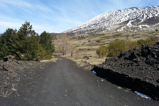 Etna Morning - Pickup Time 08:30 from your Hotel - Price, included costs, and what to plan for