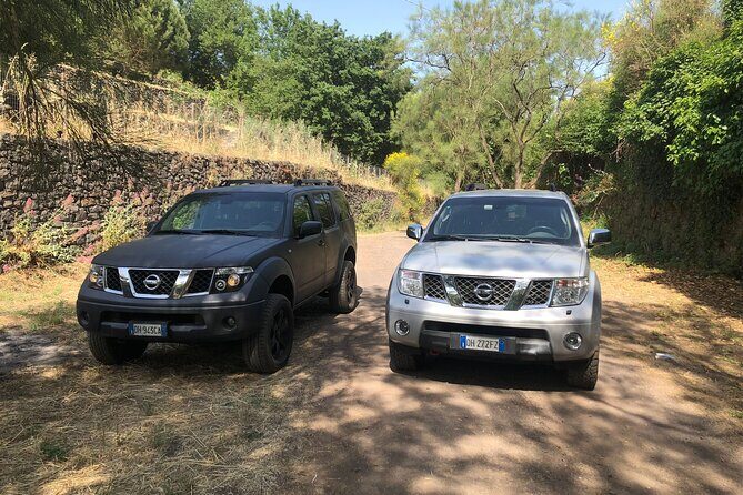 Etna private tour in 4x4 & Sicilian food farm experience - Price and logistics: what $150.08 gets you (and what costs extra)