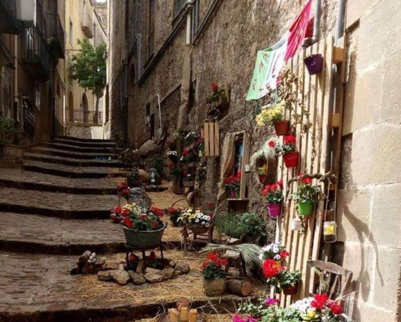 From Catania or Taormina: Agrigento and Piazza Armerina Tour - Price and value: what $784.82 covers (and what it doesn’t)