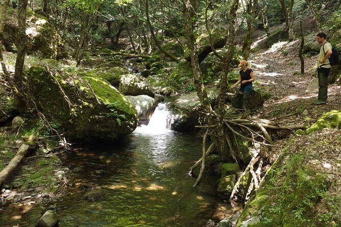 From Catania, Syracuse and Taormina: fly fishing experience - Waders and gear provided: traveling lighter, fishing sooner