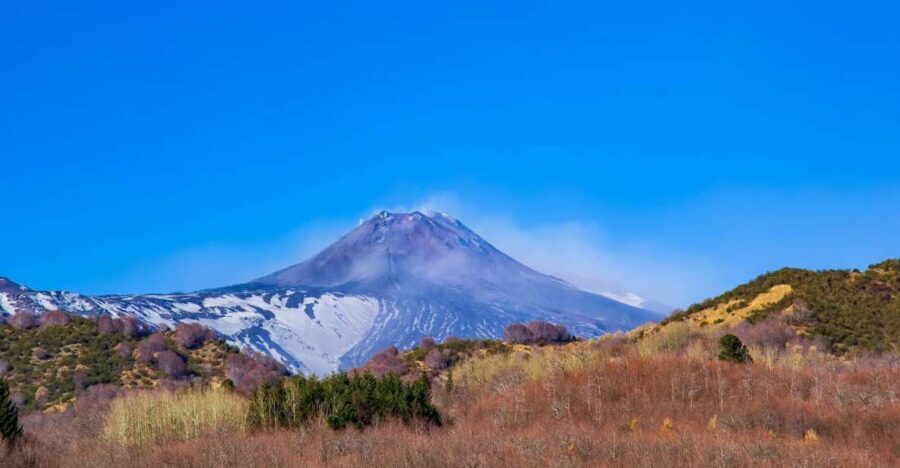 From Catania/Taormina: Mount Etna Private Wine Tasting Tour - What You’ll Taste: Volcanic Soil Flavor You Can Notice