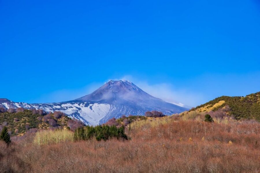From Catania/Taormina: Mount Etna Private Wine Tasting Tour - Who Should Book This Mount Etna Private Wine Tour?