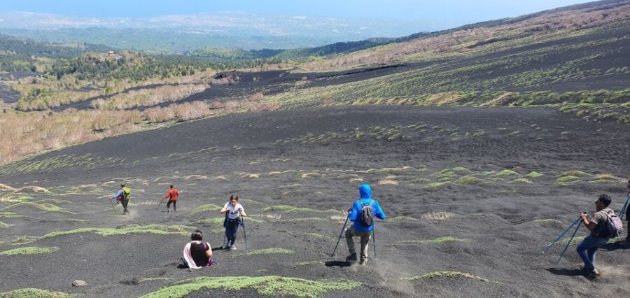 From Taormina: Guided Trip to Mt. Etna and Alcantara Gorges - Guides: friendly, caring, and clear about what you’re seeing