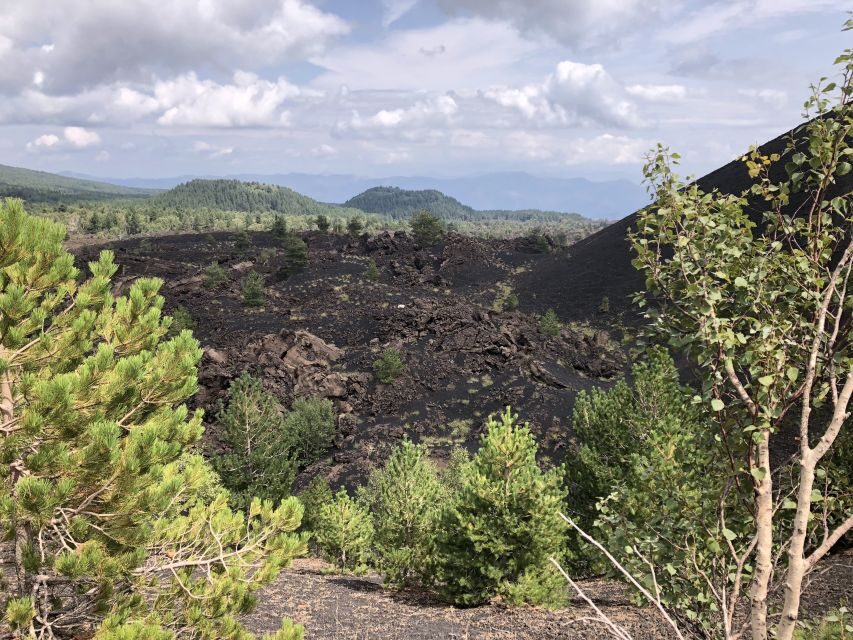 From Taormina: Half-Day Mount Etna Morning Trek - Key highlights at a glance