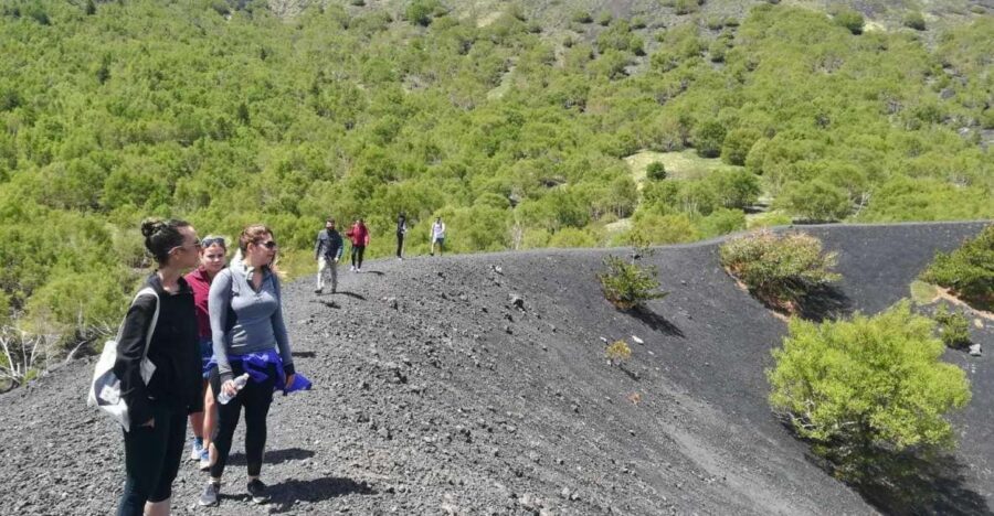 From Taormina: Half-Day Mount Etna Morning Trek - Getting the Science Right Before You Go Underground