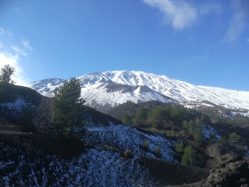 From Taormina: Half-Day Mount Etna Morning Trek - Price and Gear Rentals: Is It Good Value?