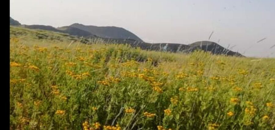 From Taormina, Naxos, & Letojanni: Mount Etna Half-Day Trip - Quick take: what stands out most