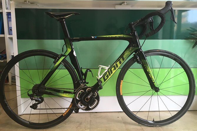 Full Carbon Road Bike Rental - Quick highlights you’ll care about