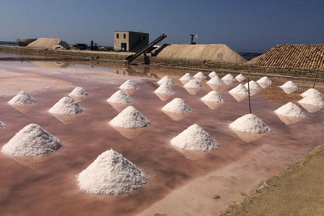 Full Day Exclusive Excursion to Segesta, Erice & Trapani Salt Flats from Palermo - Price and logistics: is $660.13 per group good value?