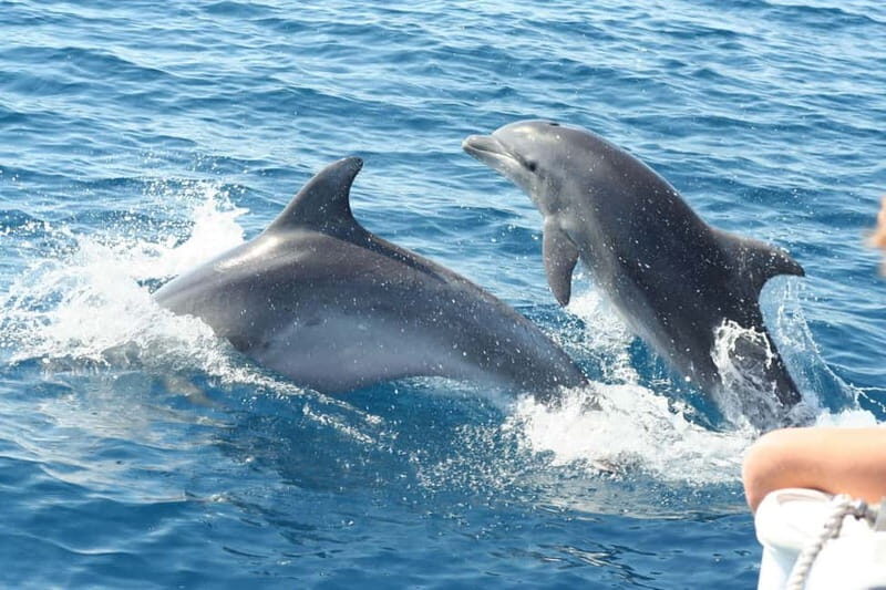 Giardini Naxos: Dolphin Catamaran Sunset Tour with Aperetif - Catamaran Venere and the Film-Set Bonus You’ll Actually Enjoy